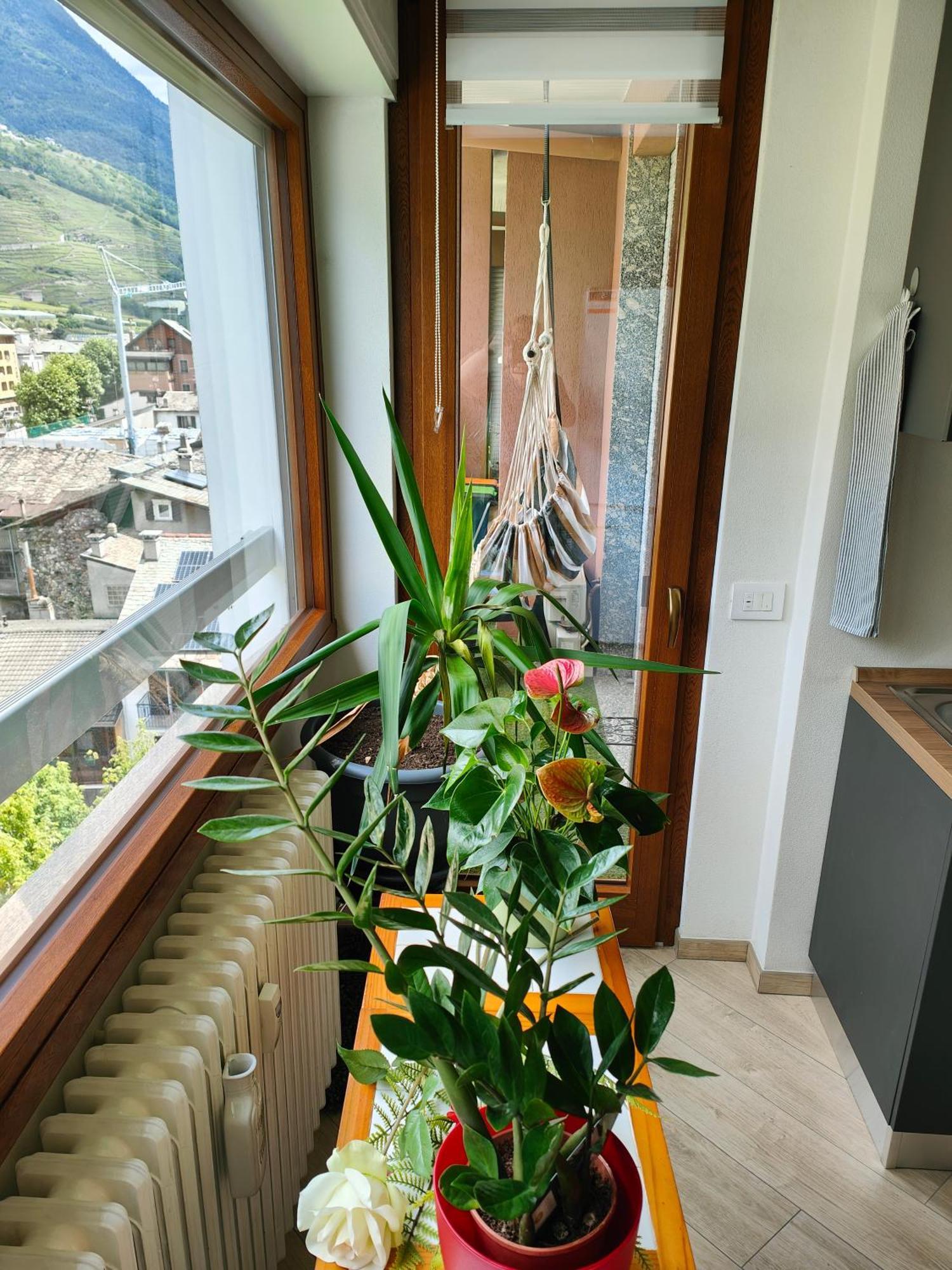 Alfiumea Apartman Tirano Kültér fotó