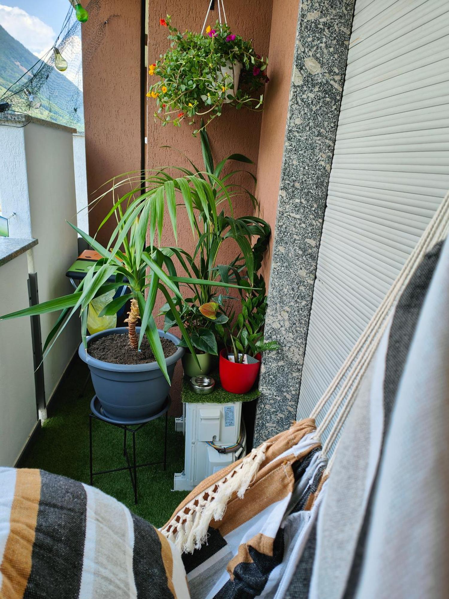 Alfiumea Apartman Tirano Kültér fotó
